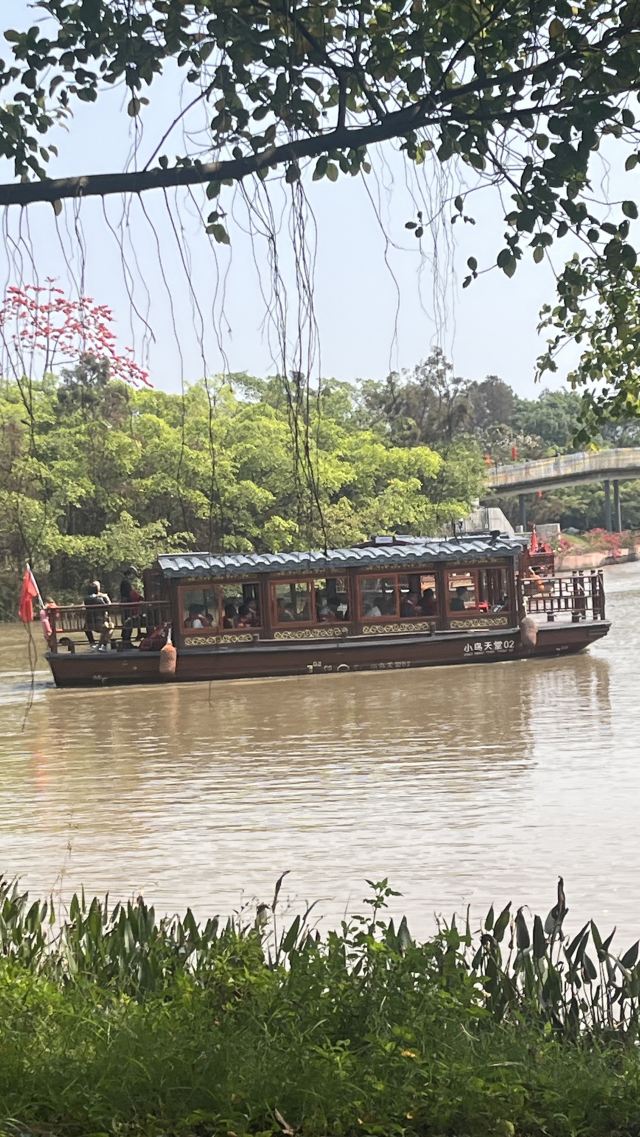小鸟天堂旅行图片 3