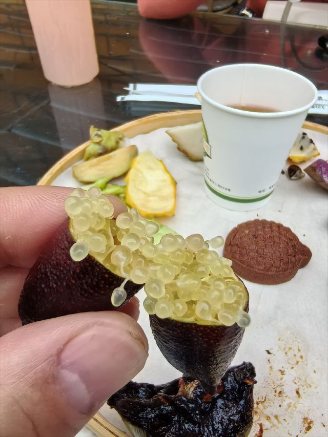 世界热带水果之窗(海南盛大共享农庄)旅行图片 7