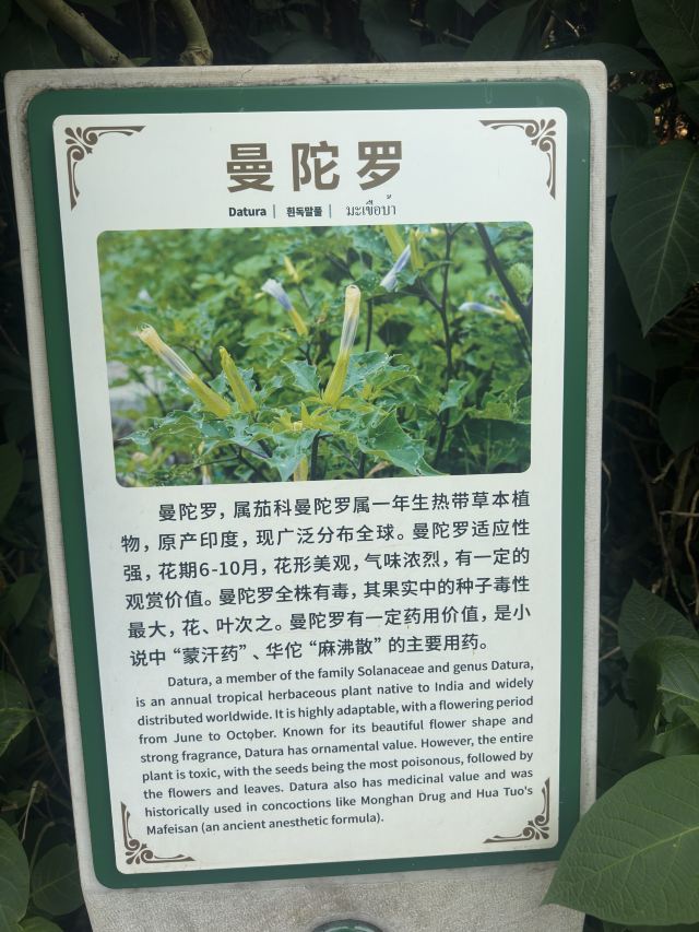野象谷景区旅行图片 3