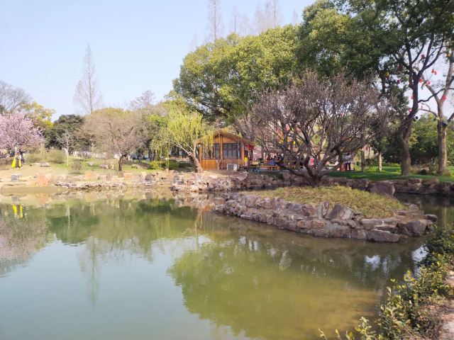 荣氏梅园旅行图片 8