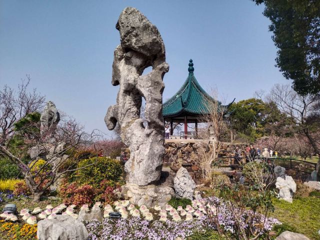 荣氏梅园旅行图片 5