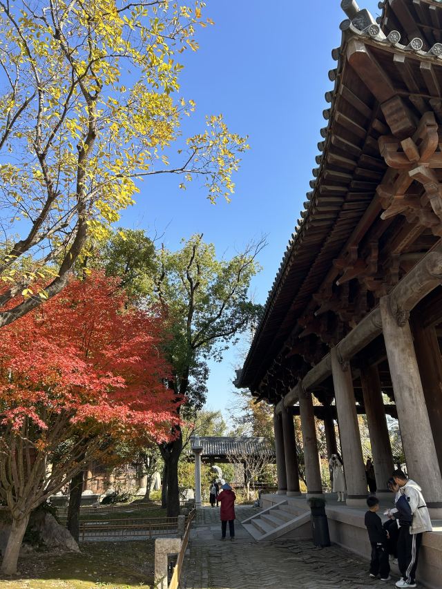 濮院时尚古镇旅行图片 3