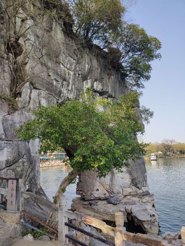 象鼻山景区旅行图片 1