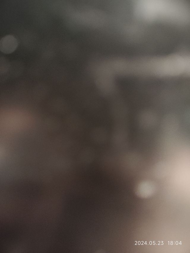 邯郸·海洋世界旅行图片 2
