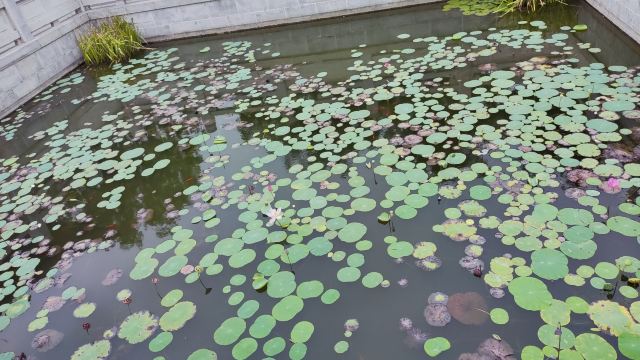 无想水镇景区旅行图片 8