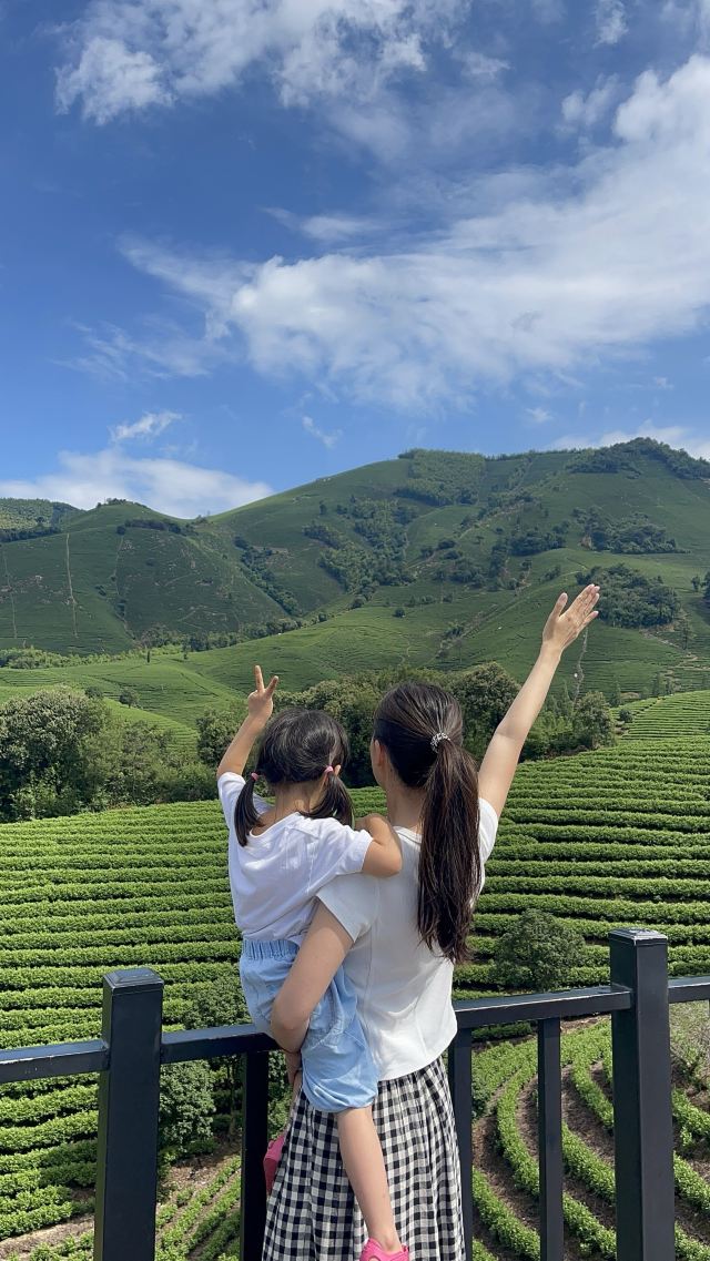 白茶原·安吉白茶观景平台旅行图片 3