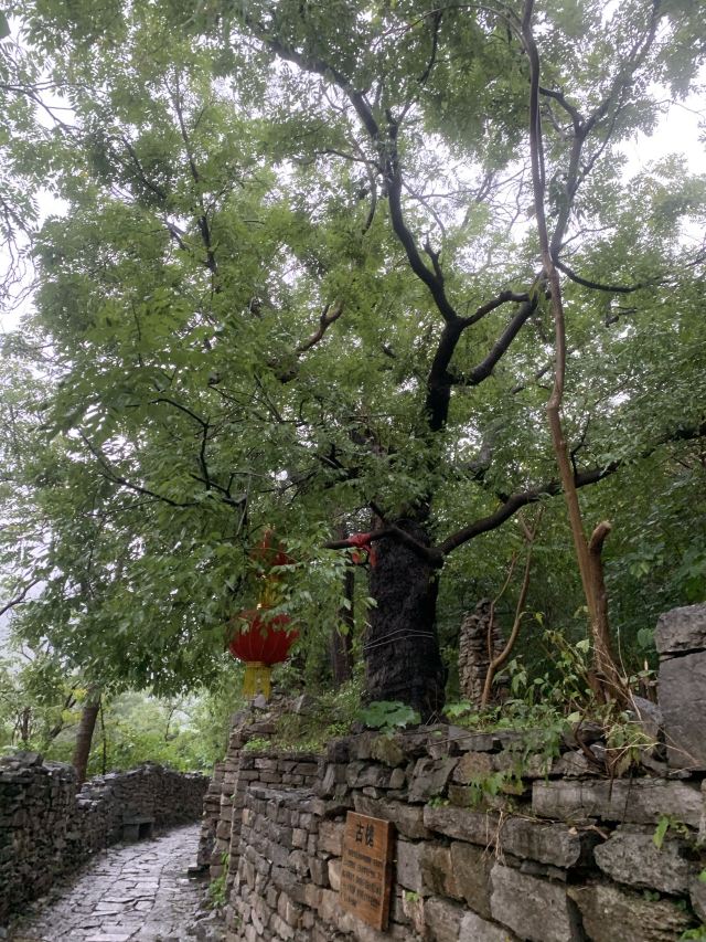 青州井塘古村景区旅行图片 8