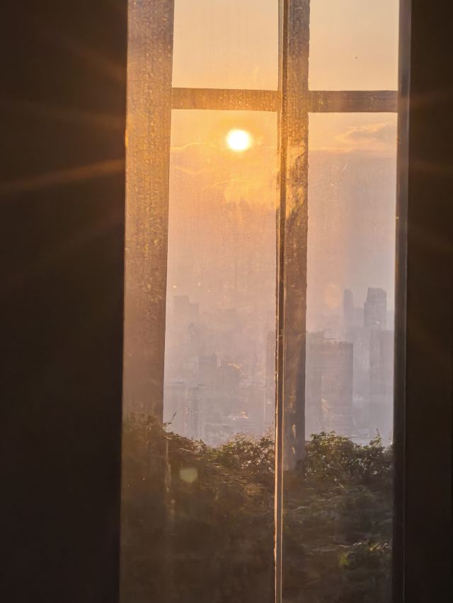 新天地绿地旅行图片 5