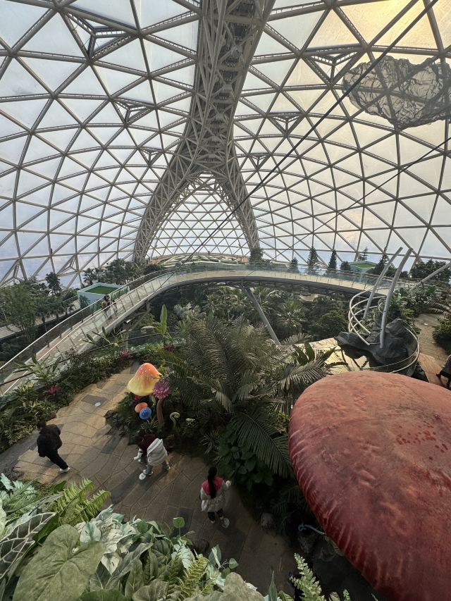东方伊甸园旅行图片 1