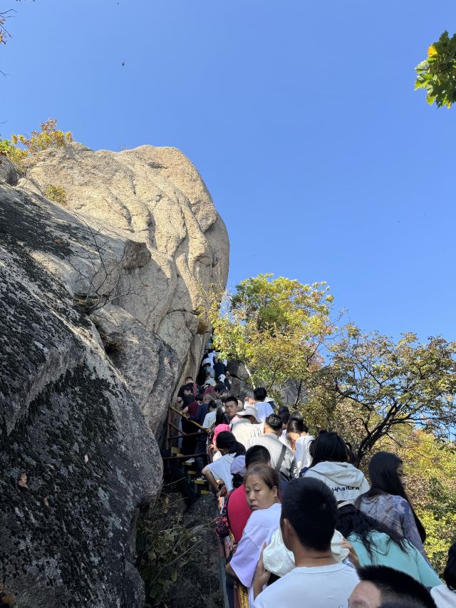 朱雀山国家森林公园旅行图片 1