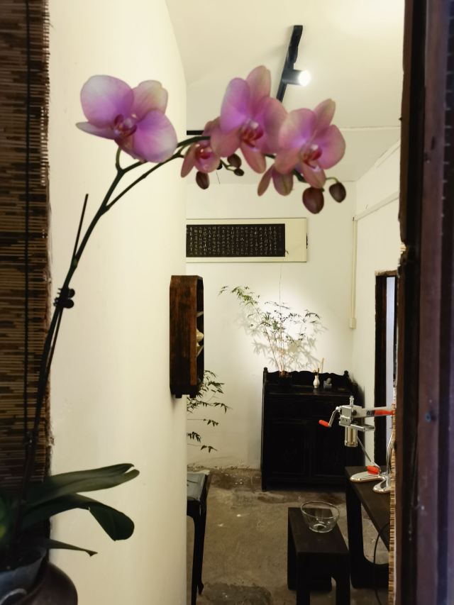 南风古灶旅行图片 7