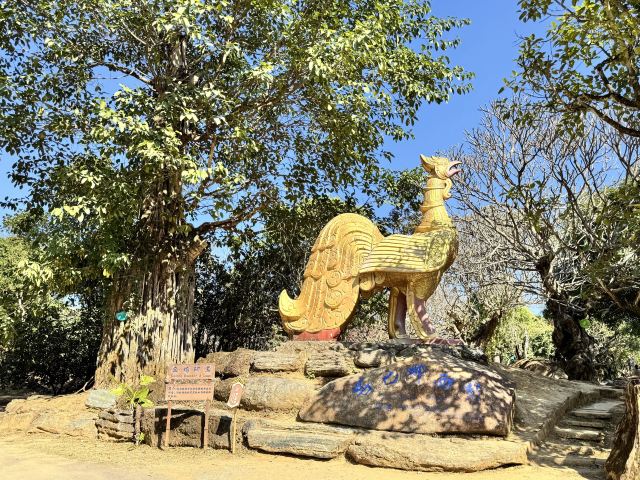 勐巴娜西珍奇园旅行图片 4