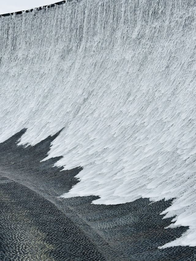天一阁·月湖旅行图片 3