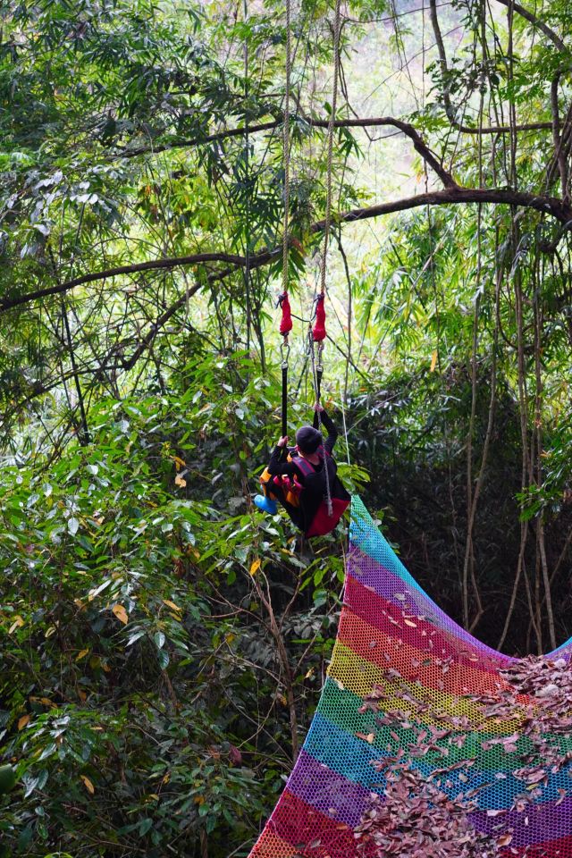 基诺山巴朵村雨林徒步旅行图片 1