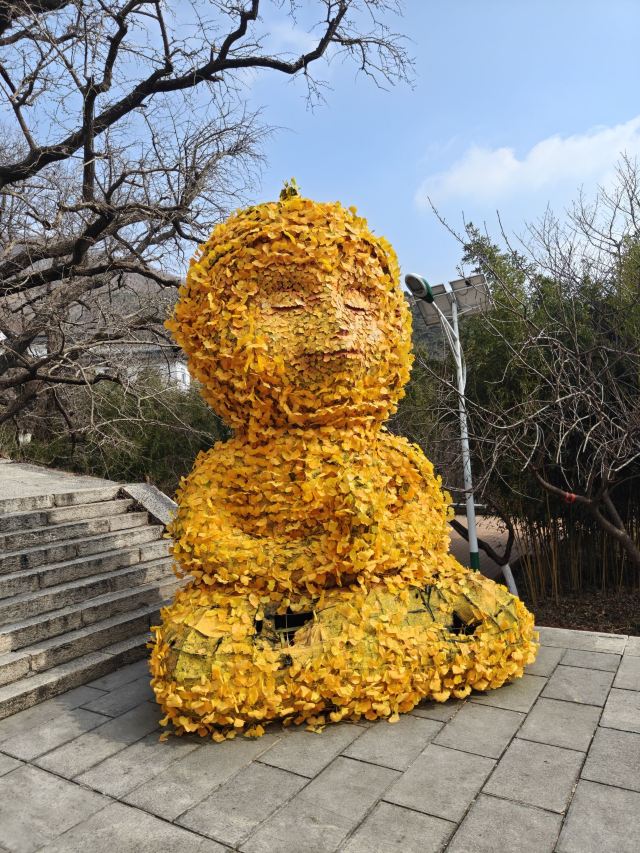 花果山风景区旅行图片 2