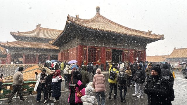 故宫博物院旅行图片 9