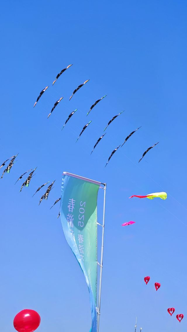 世界风筝公园旅行图片 3