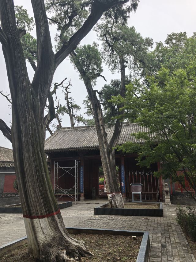 韩城古城旅行图片 2