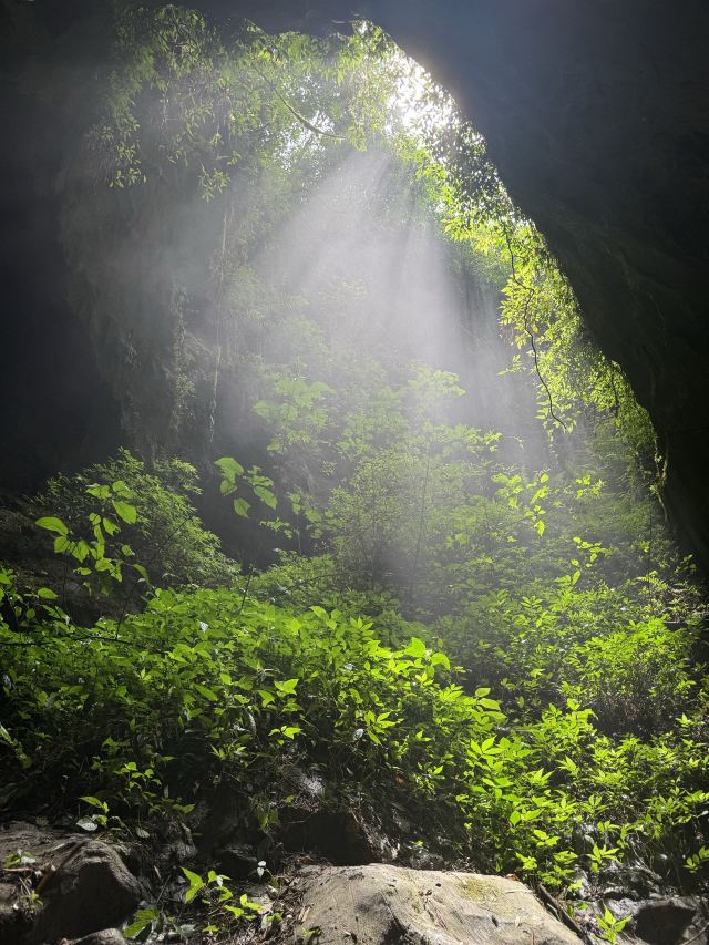 红果树生态旅游风景区旅行图片 4