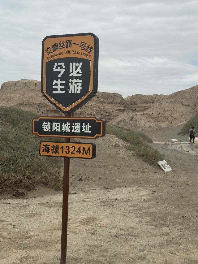 锁阳城遗址旅行图片 1