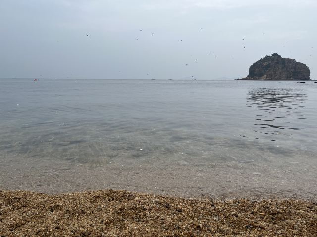 棒棰岛旅行图片 3