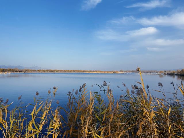 野鸭湖国家湿地公园旅行图片 2