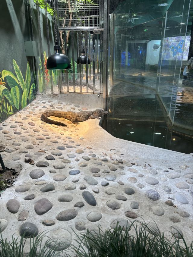 东方明珠公园旅行图片 7