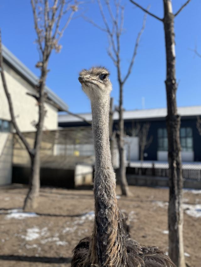 牡丹江珍稀动物园旅行图片 4