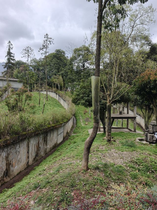 碧峰峡风景区旅行图片 1
