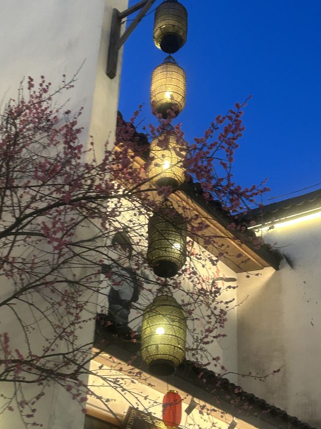 婺女洲度假区旅行图片 3