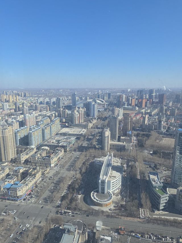 龙塔旅行图片 2