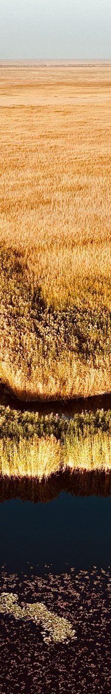 莲海世界-博湖-无厘头2006