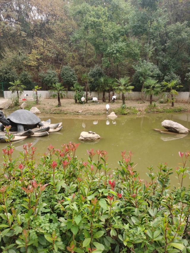 武汉野生动物王国旅行图片 1