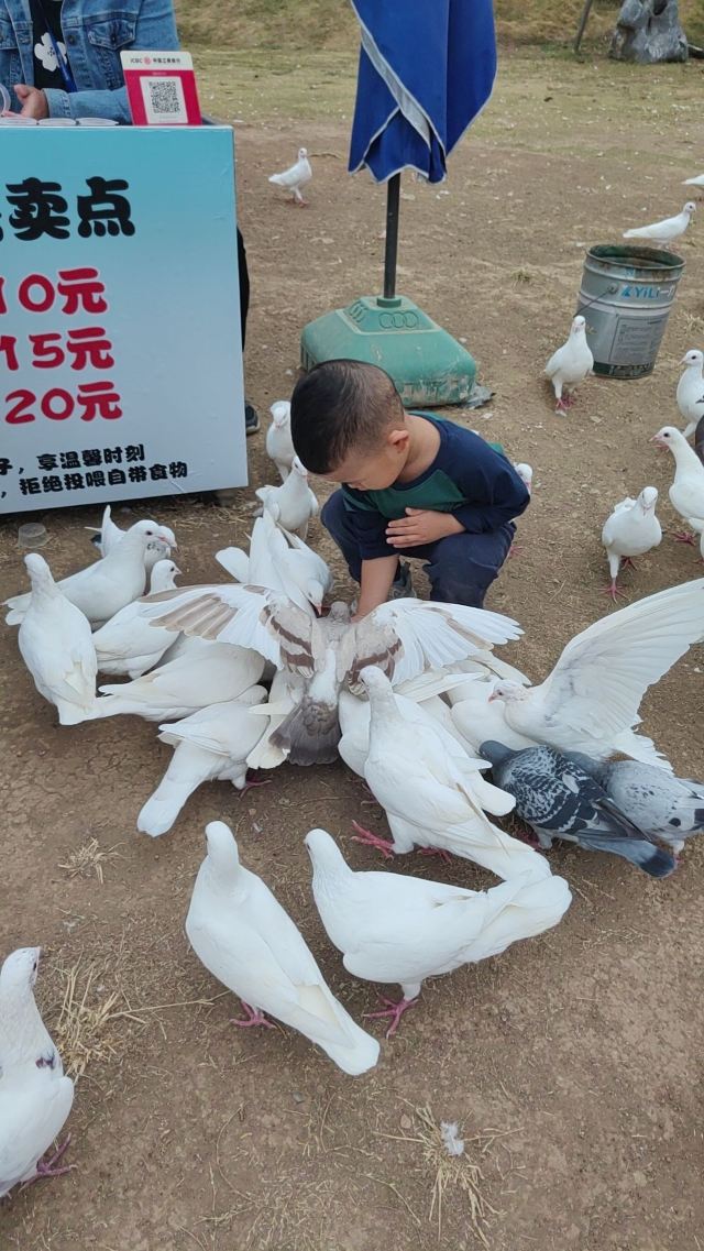 武汉野生动物王国旅行图片 4