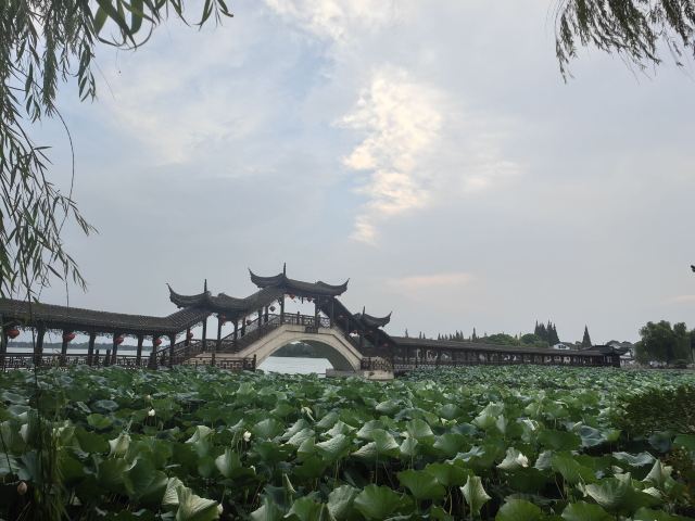 锦溪古镇旅行图片 2