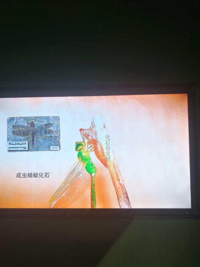 朝阳化石谷旅行图片 2