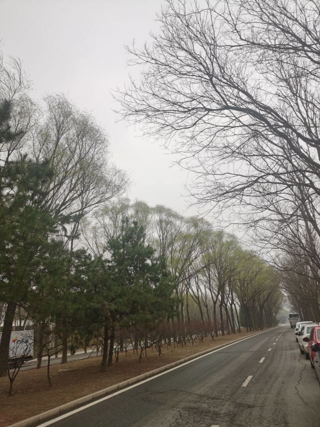 香山公园旅行图片 1