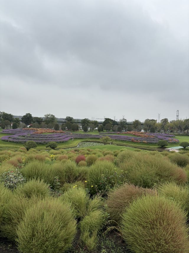 南通洲际梦幻岛旅行图片 3