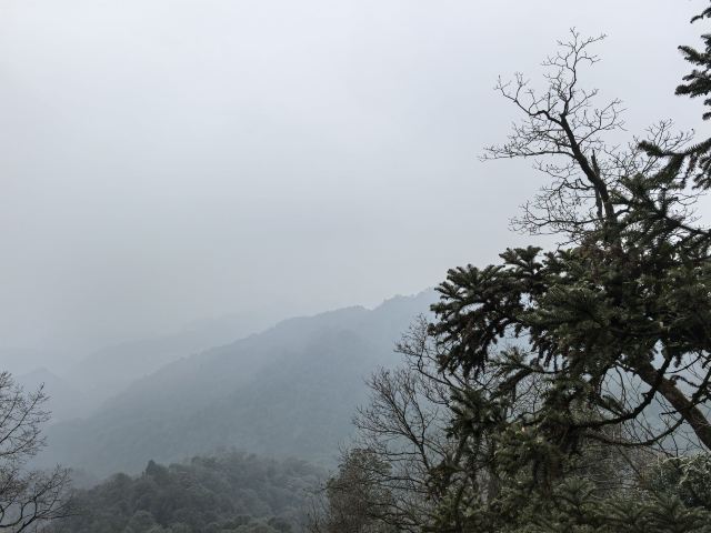 青城山景区旅行图片 3