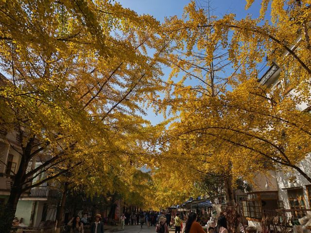 南雄帽子峰旅游景区旅行图片 2