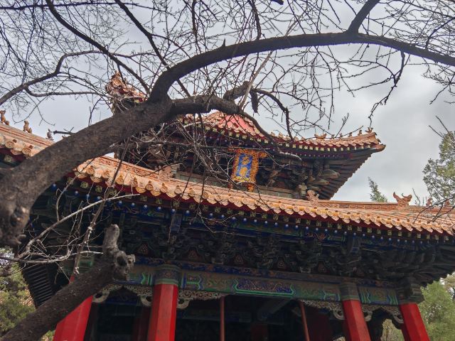 孔庙旅行图片 8