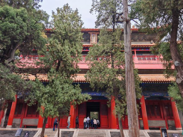孔庙旅行图片 4