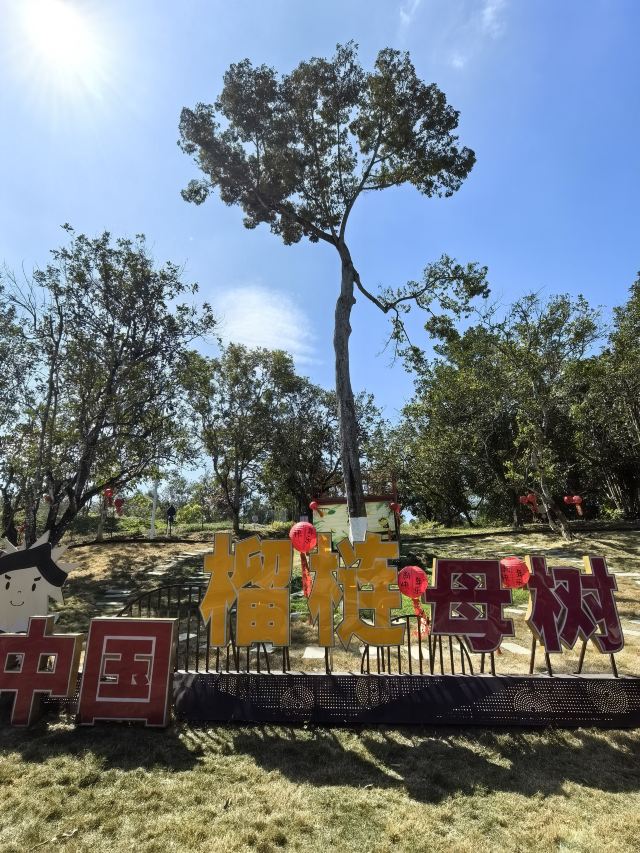 七仙岭全球热带水果博览中心旅行图片 1