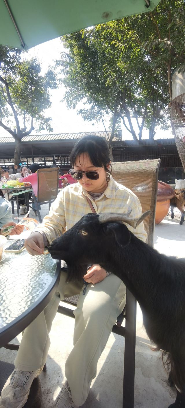 音乐·百花谷旅行图片 3
