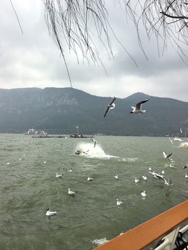 西山风景区旅行图片 3