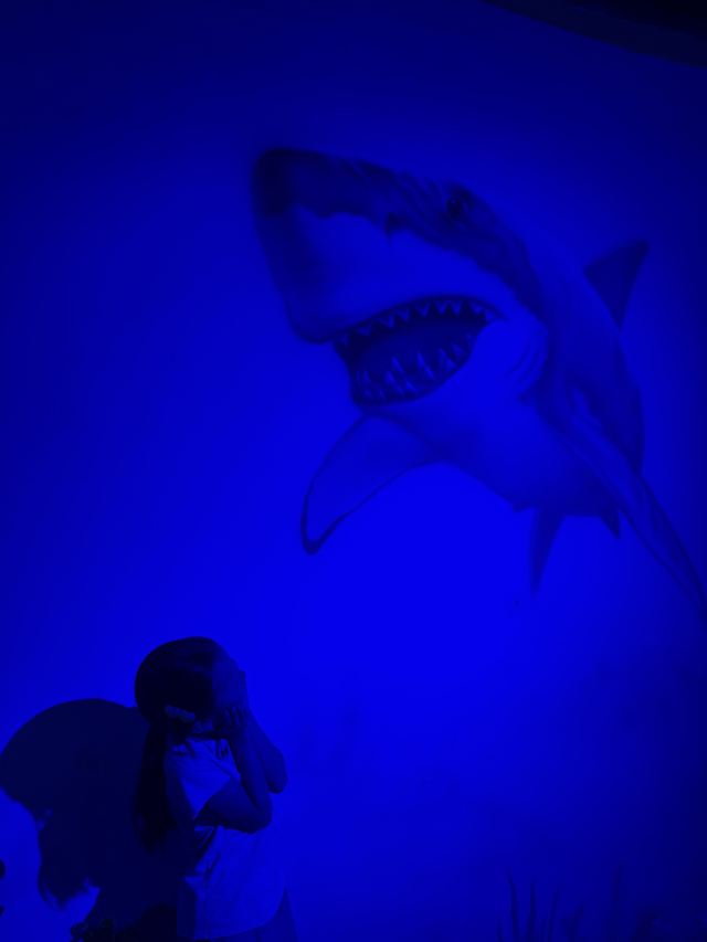 呼和浩特海洋馆旅行图片 1