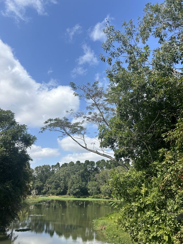 海南热带植物园旅行图片 2