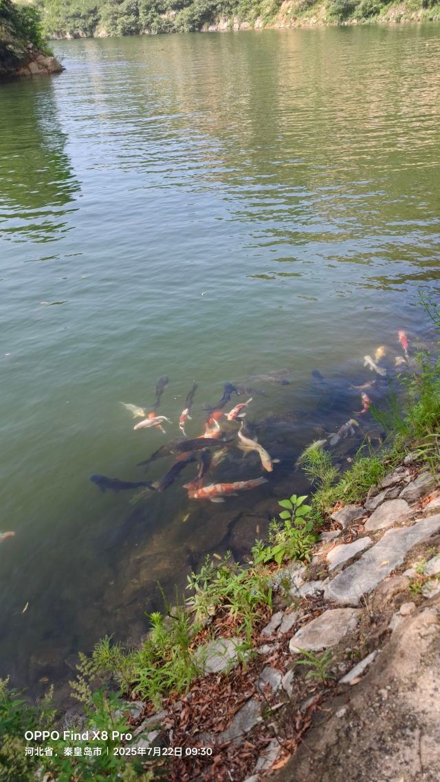 龙云谷旅行图片 3