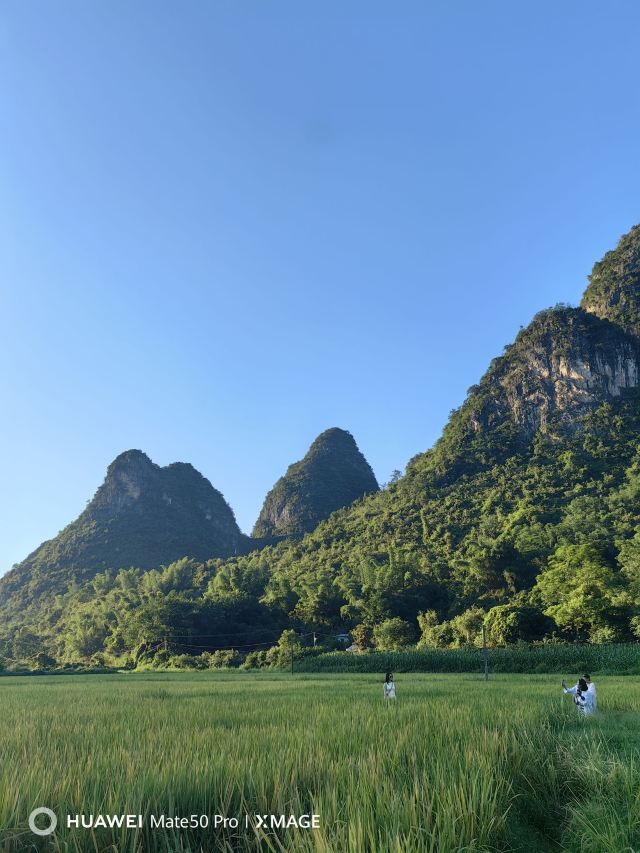 龙颈河景区旅行图片 7