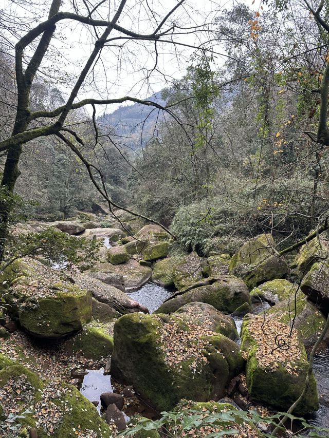 成都天台山旅游景区旅行图片 1